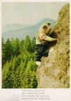 Karte 2424 Teddy klettert in der Sächsischen Schweiz - 1957