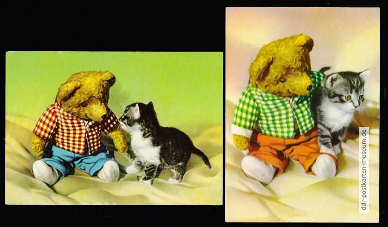 Teddybaer-Katze.JPG