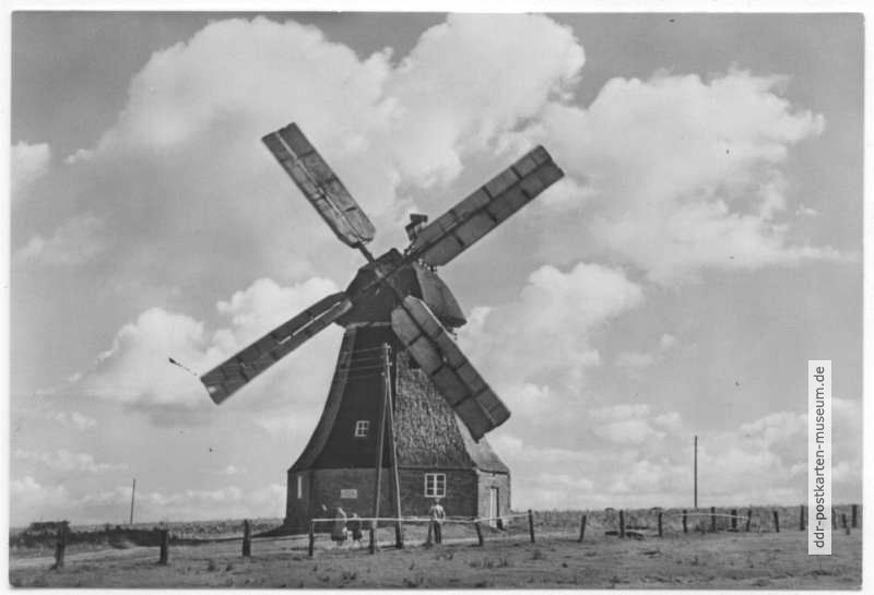 Windmühle in Kühlungsborn-Ost - 1965