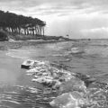 Am Strand des Darß - 1963