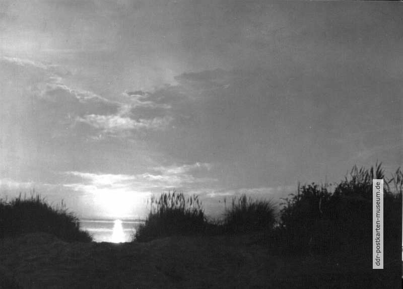 Sonnenuntergang im Naturschutzgebiet des Darß - 1959