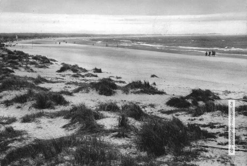 Strand an der Prerower Bucht - 1960