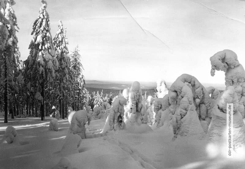 Erzgebirgs-Winter - 1983