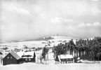 Winter im Kurort Seiffen - 1963
