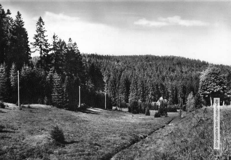 Weißeritztal bei Waldbärenburg - 1970