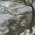 Winter im Elbsandsteingebirge - 1984