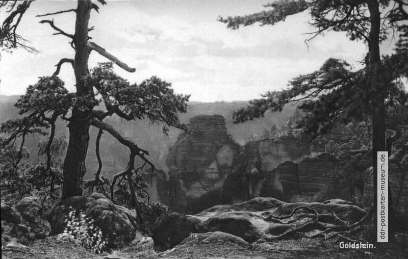 Elbsandsteingebirge, Blick zum Goldstein - 1951