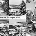 Winter im Thüringer Wald - 1978