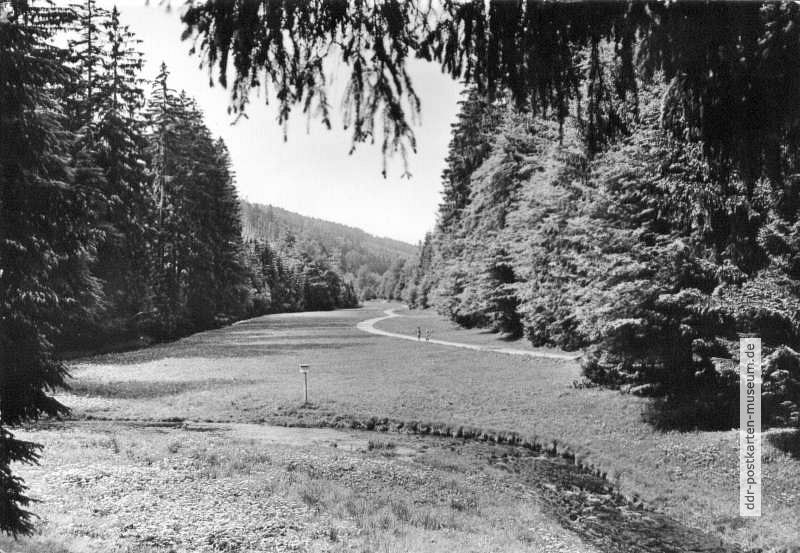 Apfelstädter Grund bei Tambach-Dietharz - 1977