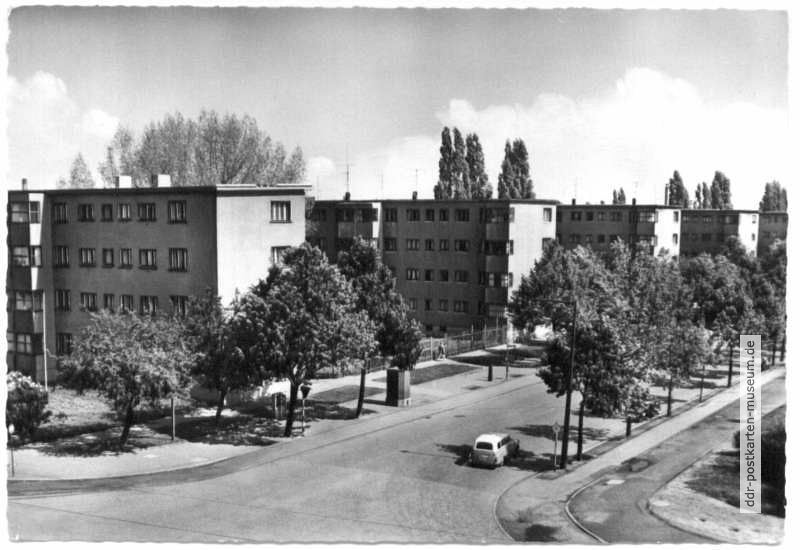 Neu-Gohlis, Max-Liebermann-Straße (Kroch-Siedlung) - 1963