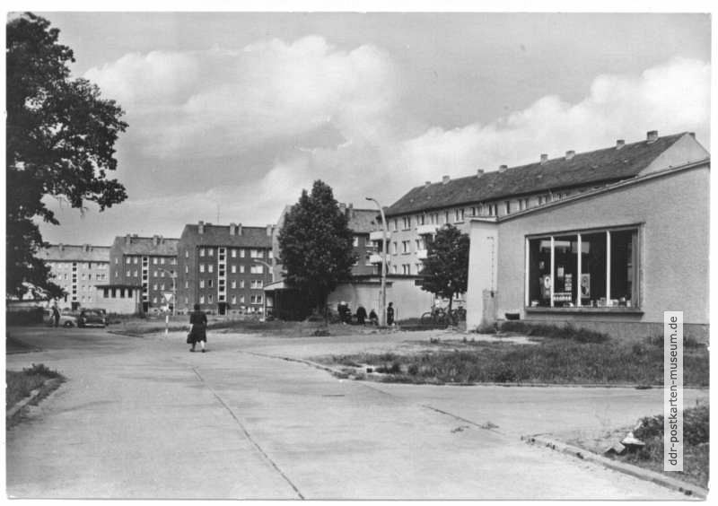 Neubauten und Kaufhalle in der Neustadt - 1967