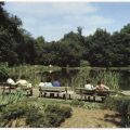 Kleiner Teich an der Heideschänke auf dem agra-Gelände - 1988
