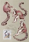 Maximumkarte "125 Jahre Zoo Dresden" mit Katta-Äffchen (Madagascar) - 1986