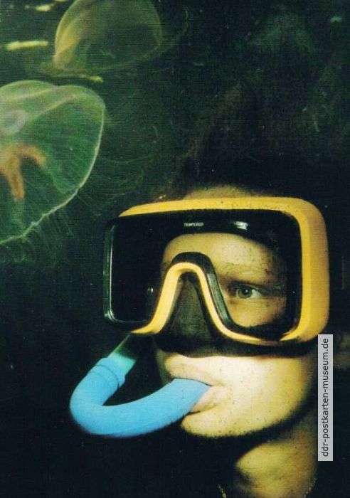 Erlebnis Unterwasserwelt durch den Tauchsport der GST - 1987