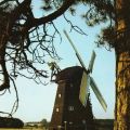 Erdholländermühle aus Jarmen im Agrarhistorischen Museum in Alt Schwerin - 1987