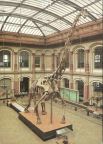 Museum für Naturkunde, Sauriersaal mit "Brachiosaurus brancai" - 1989
