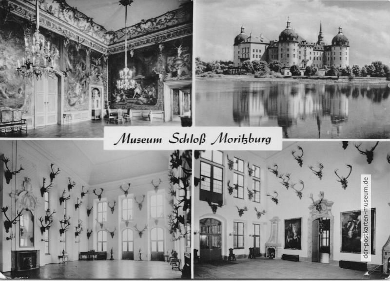 Geweihsammlung im Museum Schloß Moritzburg - 1977