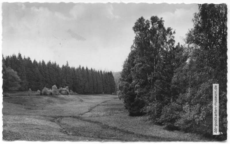 Birnbaumgrund bei Neudorf im Harz - 1961