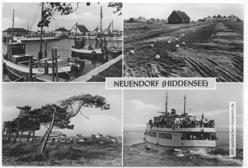 Hafen, Fischernetze, Windflüchter, Fährschiff "Insel Hiddensee" - 1973