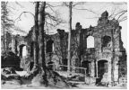 Ruine vom Kaiserhaus auf dem Berg Oybin - 1964