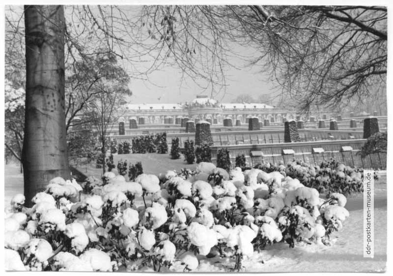 Park und Schloß Sanssouci im Winter - 1969