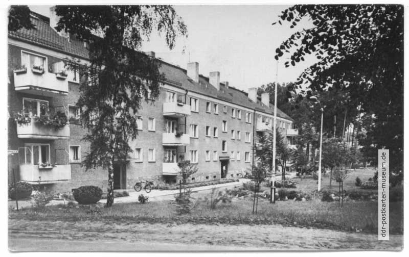 Neue AWG-Siedlung - 1965