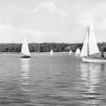 Segelboote auf dem Arendsee - 1974