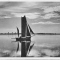 Segeln auf dem Bodden vor der Insel Hiddensee - 1949