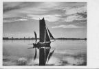 Segeln auf dem Bodden vor der Insel Hiddensee - 1949