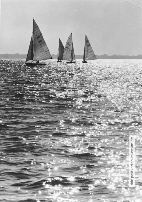 Segelboote vor der Küste bei Warnemünde - 1966