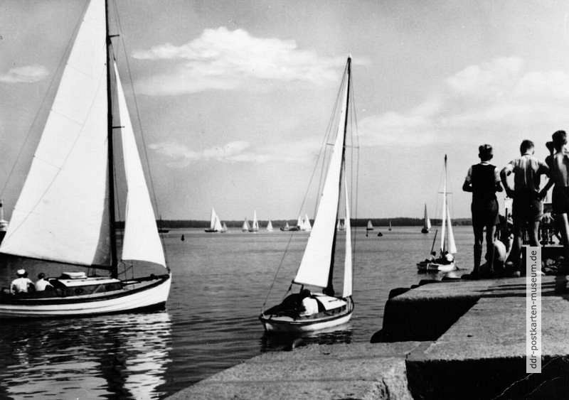 Segelfreunde am Bodden in Wieck bei Greifswald - 1967