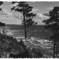Blick zur See - 1959