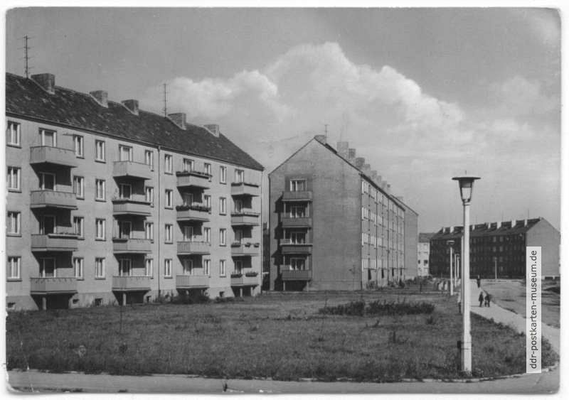 Neubauten der AWG "Neue Zeit", Straße des Friedens - 1965