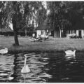 Am Luckower See (Freibad) - 1979