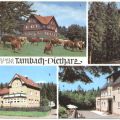 Berghotel Ebertswiese, Falkenstein, Rodebachmühle, HOG "Waldbaude" - 1970
