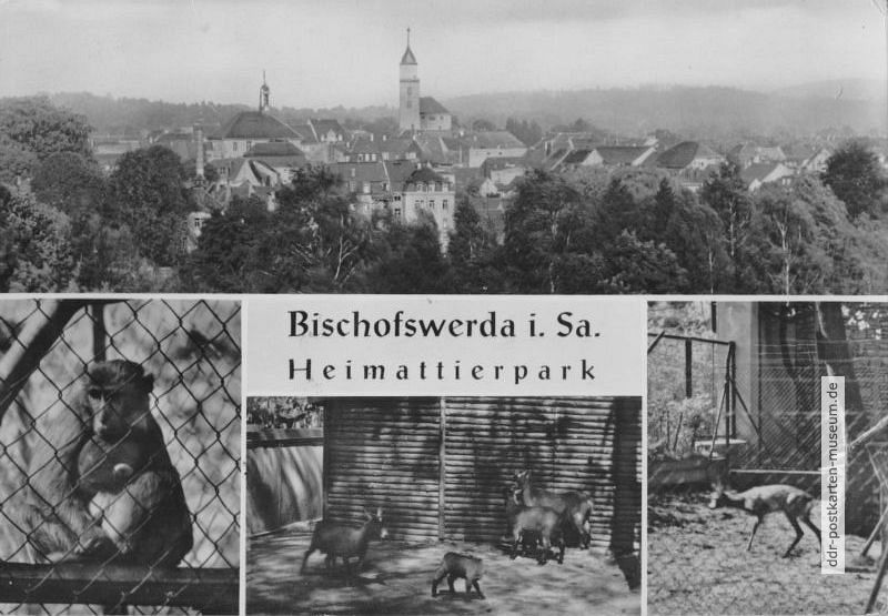 Bischofswerda-1.jpg