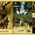 Panorama-Ansichtskarte vom Tiergarten Hoyerswerda - 1989