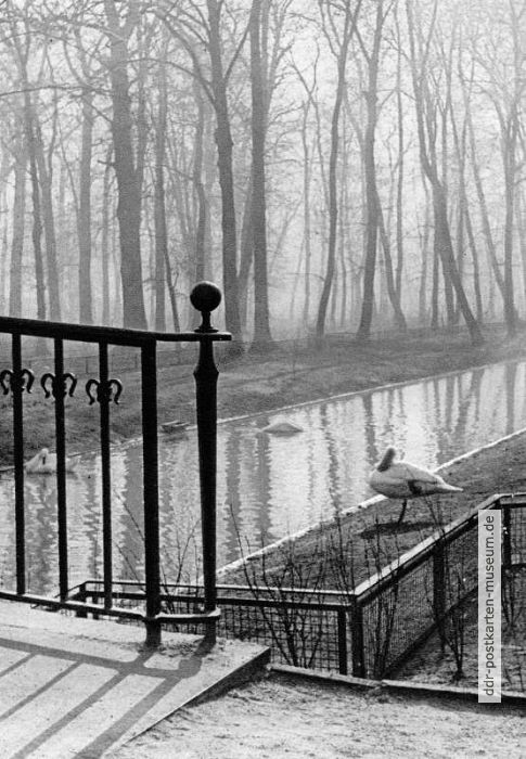 Tierpark Berlin, Historischer Kanal im November - 1962