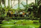 Tierpark Berlin, Tropenhalle im Alfred-Brehm-Haus - 1986