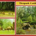 Tierpark Cottbus - Bennet-Känguruhs, Trampeltiere, Elefanten beim Baden in der Spree - 1986