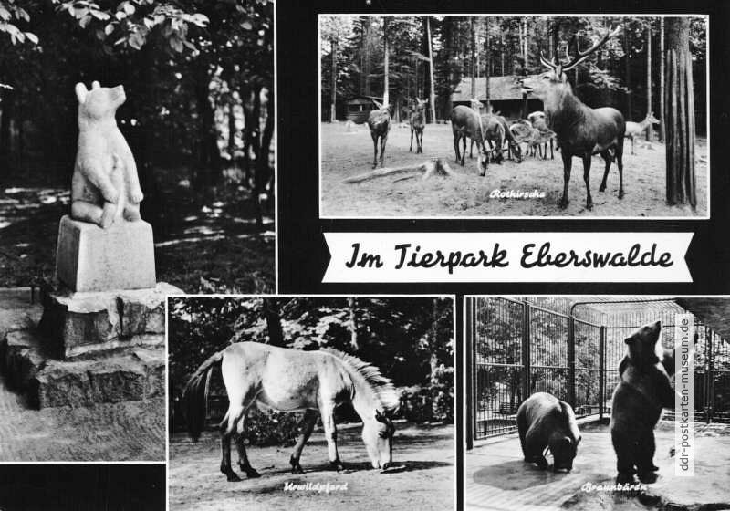 Im Tierpark Eberswalde - 1966