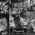 Superformat-Ansichtskarte vom Tierpark Karl-Marx-Stadt - 1982