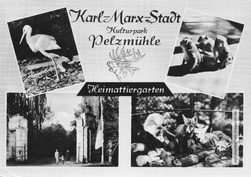 Kulturpark "Pelzmühle" mit Heimattiergarten Karl-Marx-Stadt - 1966