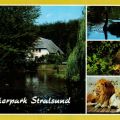 Tierpark Stralsund mit Rinderstall und Ententeich - 1990