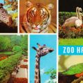Tiere im Zoo von Halle - 1975