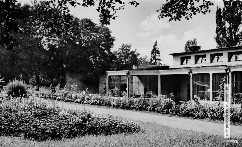 Zoologischer Garten Halle, Raubtierhaus - 1959