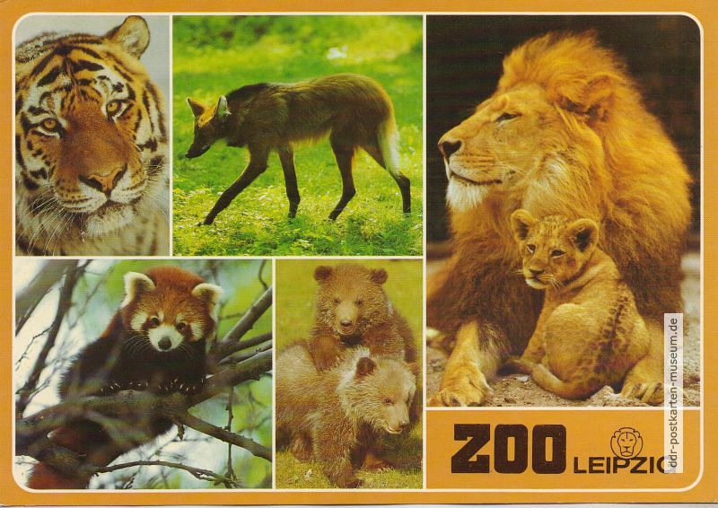 Superformat-Ansichtskarte vom Zoo Leipzig - 1987