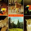 Superformat-Ansichtskarte vom Zoologischen Garten Rostock - 1981