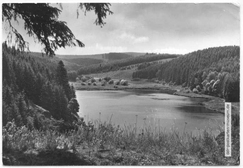Blick von der Trageburg auf den Stausee der Rappbode-Vorsperre bei Trautenstein - 1981