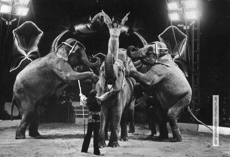 Staatszirkus der DDR, Helga & Siegfried Gronau mit Elefantendressur - 1984